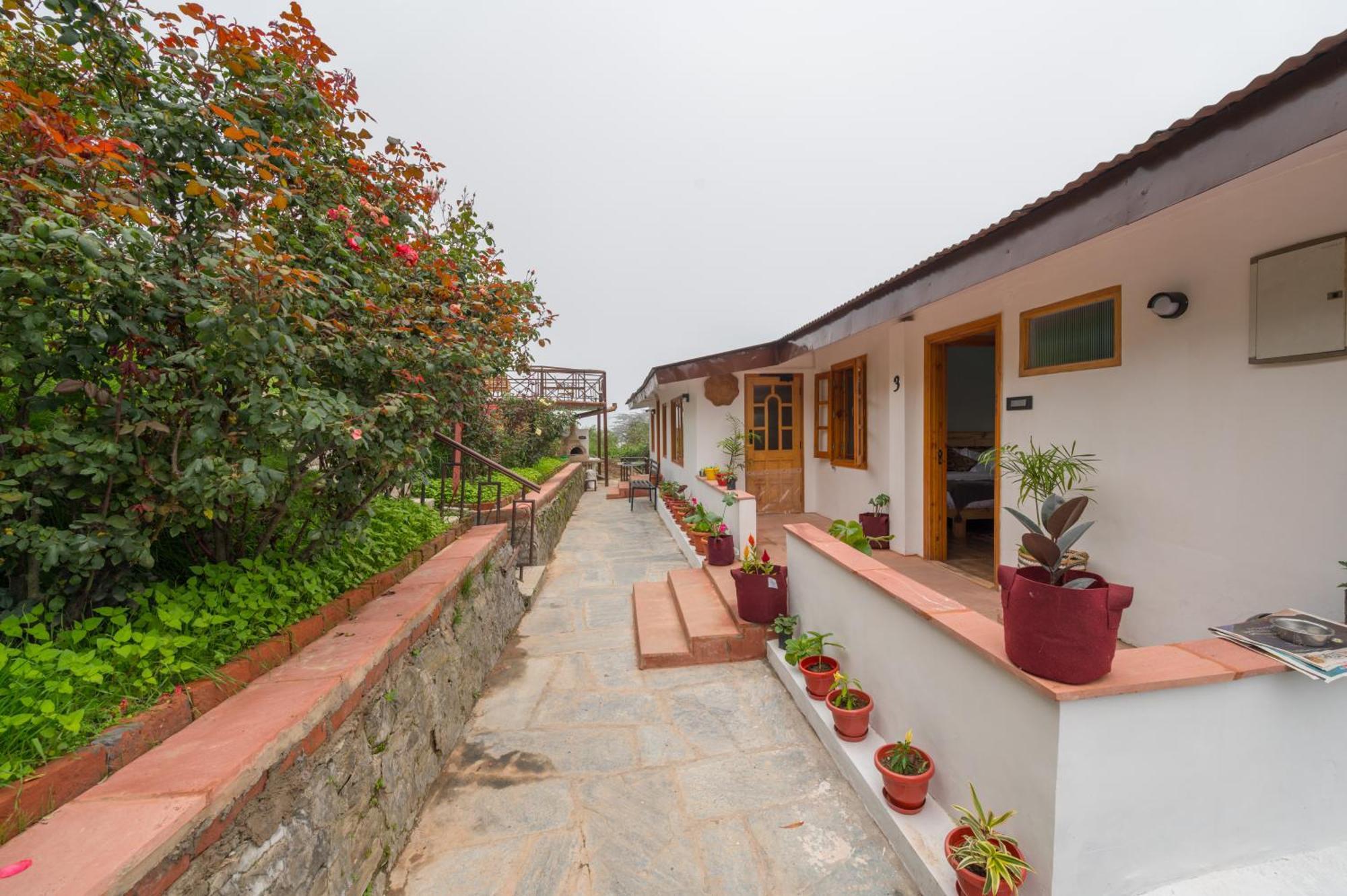Cedar Hill Lodge - A Boutique Homestay Mashobra Luaran gambar
