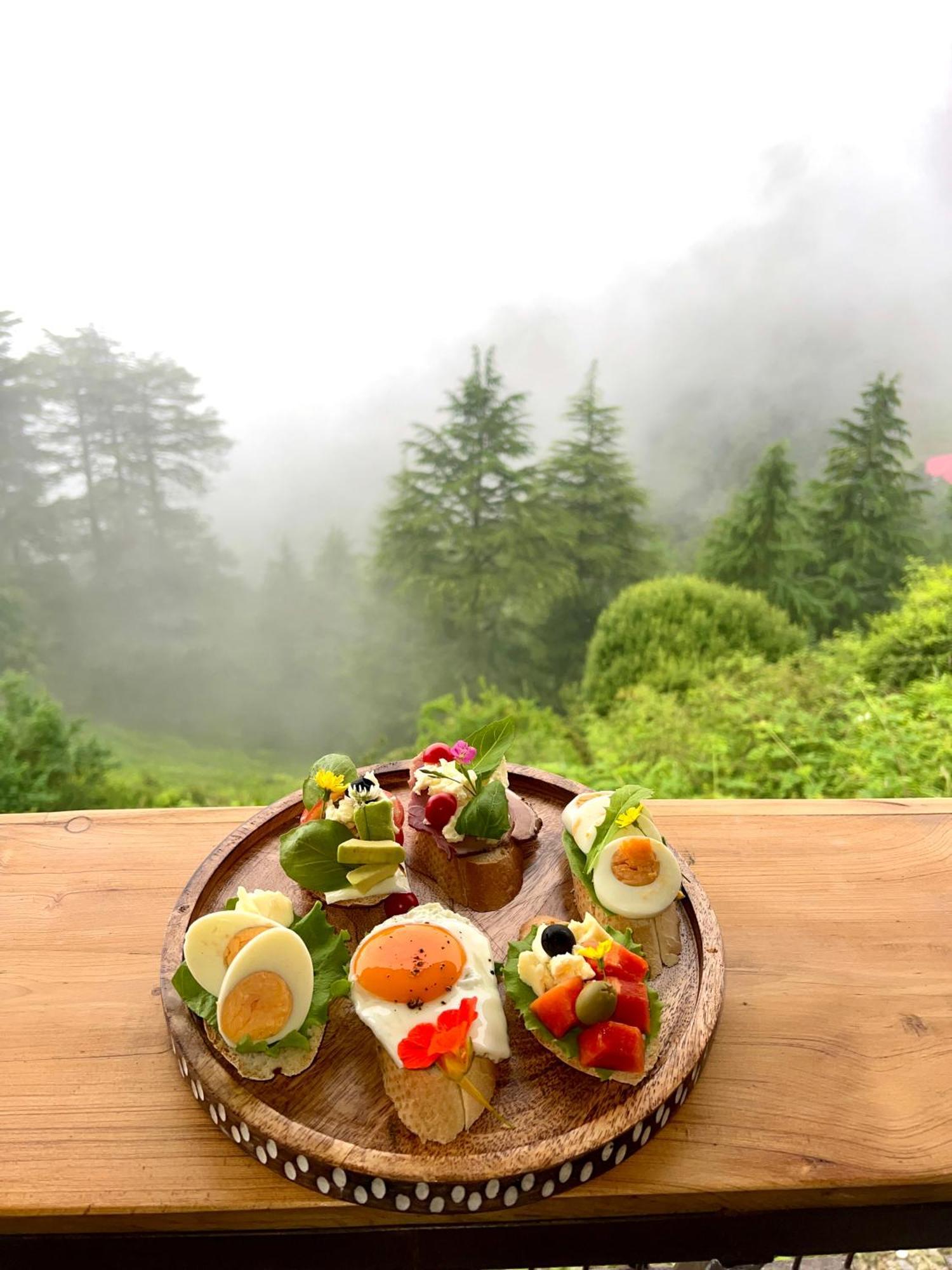 Cedar Hill Lodge - A Boutique Homestay Mashobra Luaran gambar